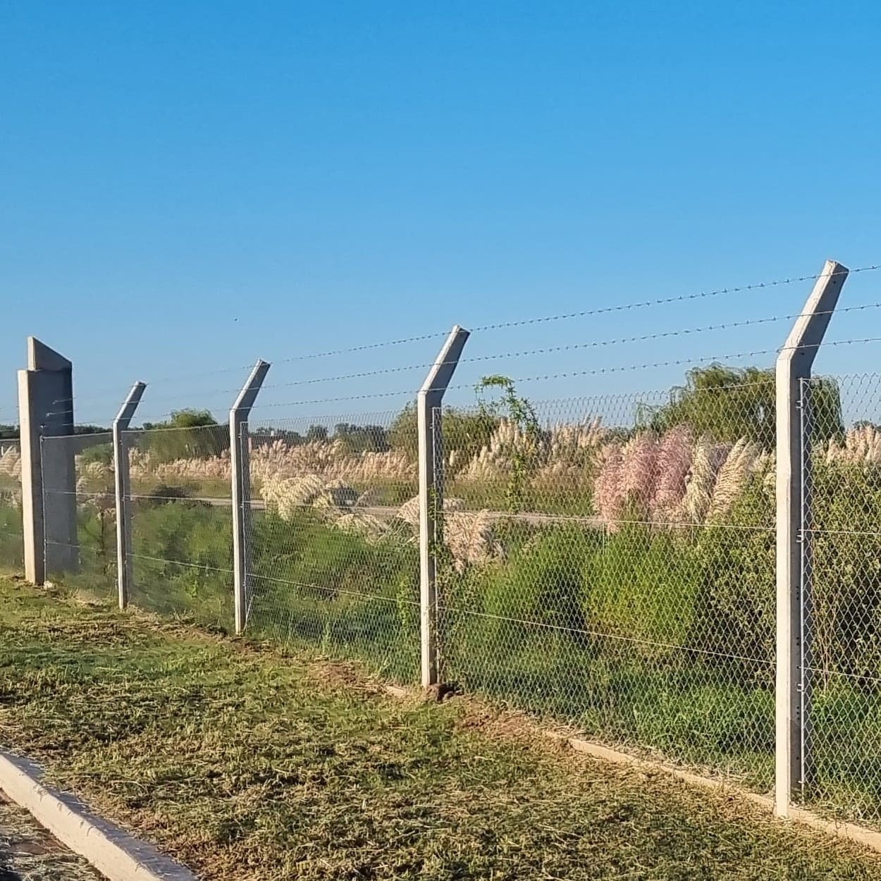 Imagen de obra