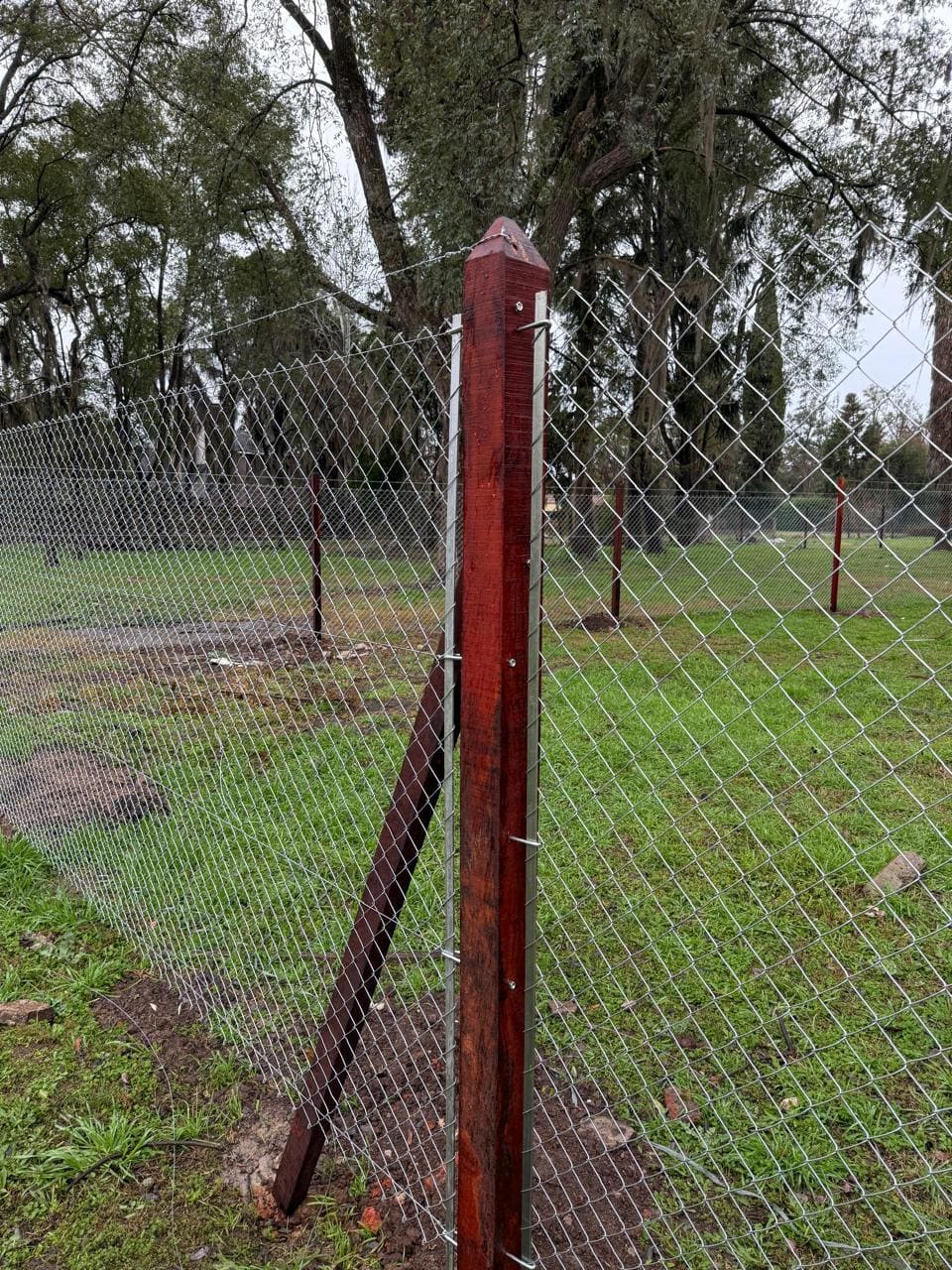 Imagen de obra